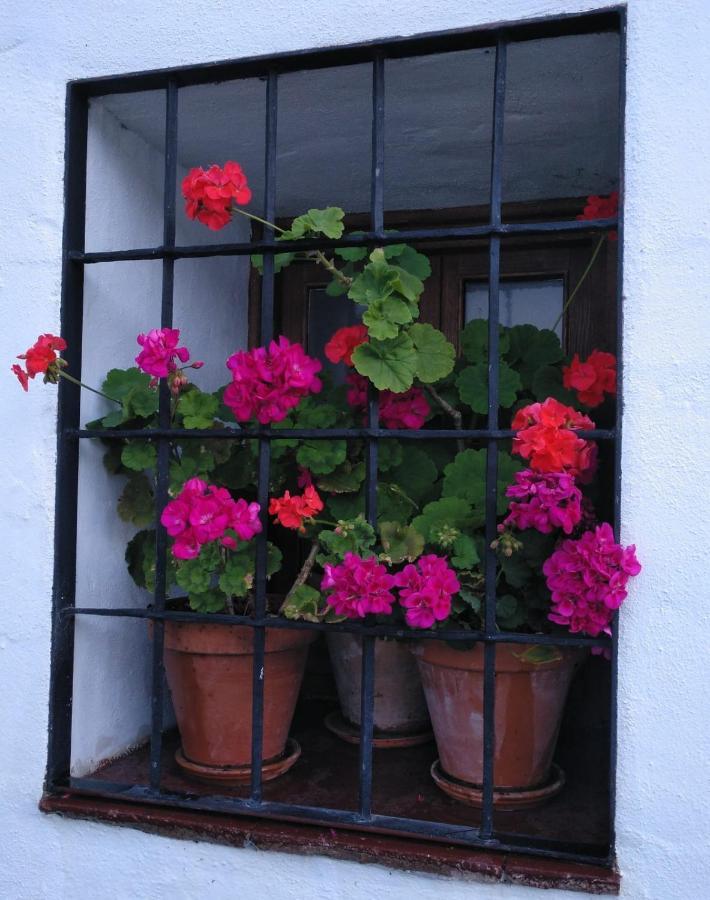 Casa Rural En Grazalema Kültér fotó